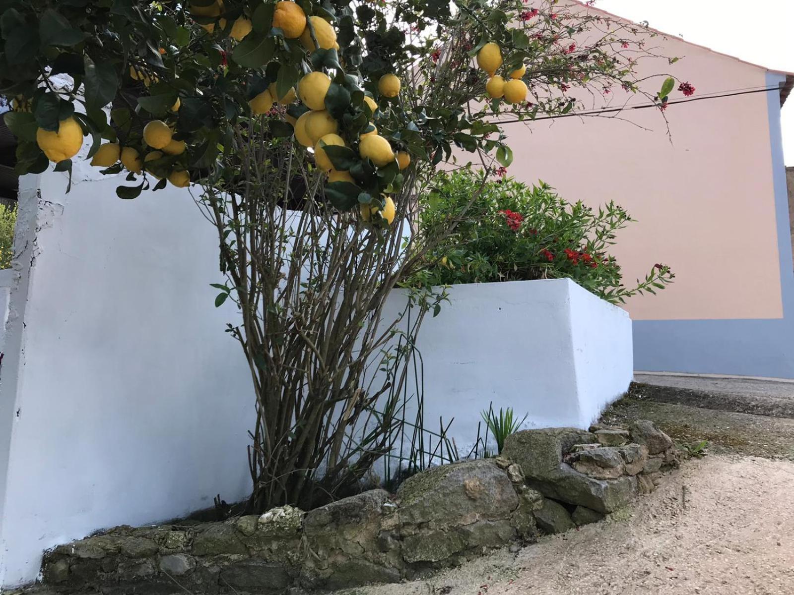 Casas Bemposta Vila Monchique Exterior foto