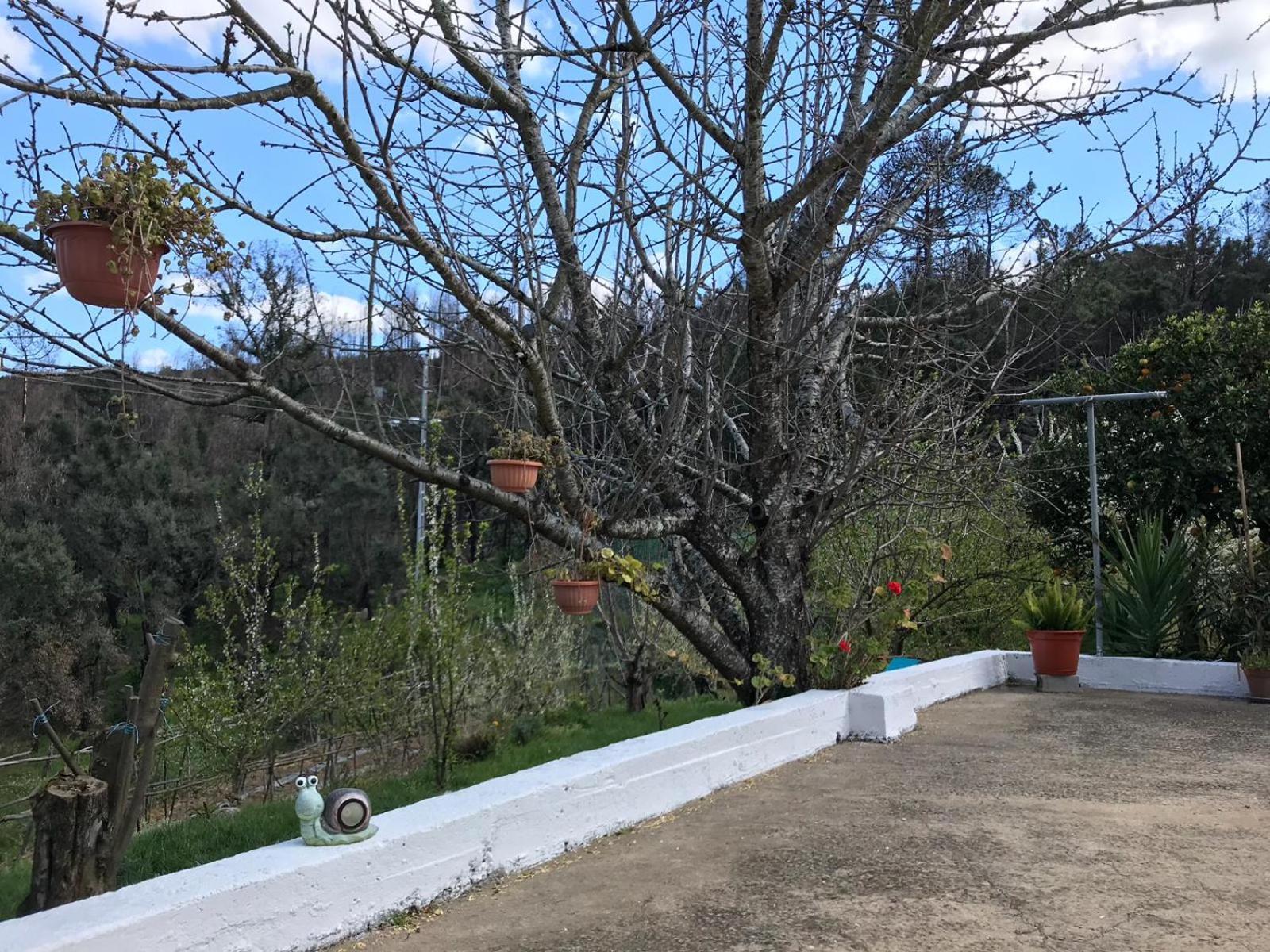 Casas Bemposta Vila Monchique Exterior foto